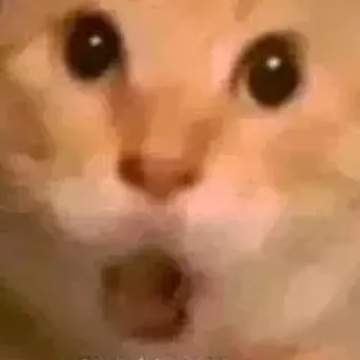 龙傲天