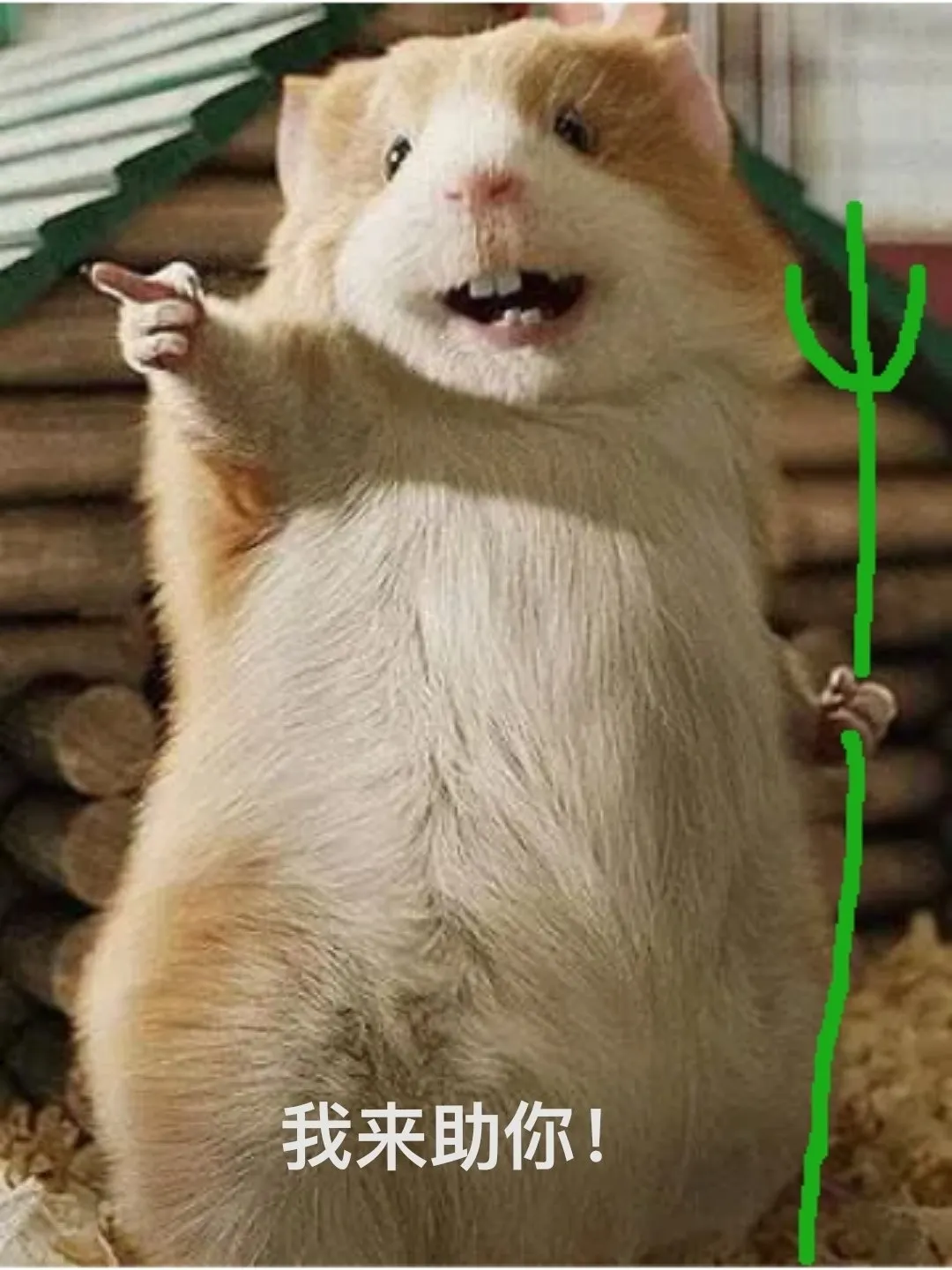 我来助你
