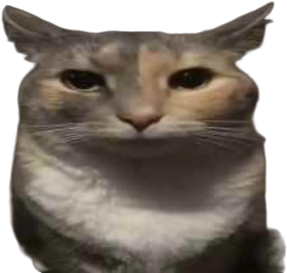 多兔