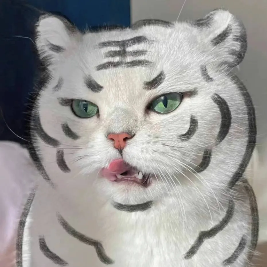 快乐的雅痞