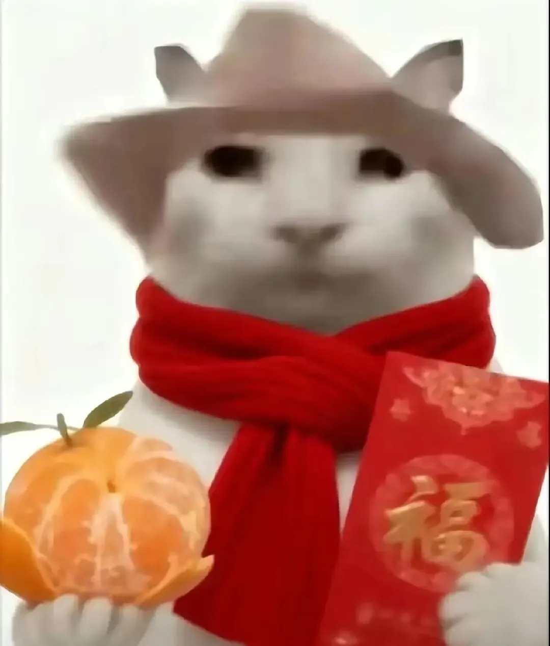 鸿璐
