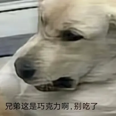 用户615975