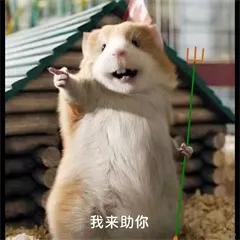 麦子