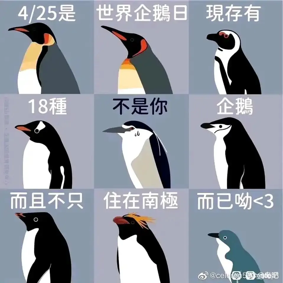 秋华