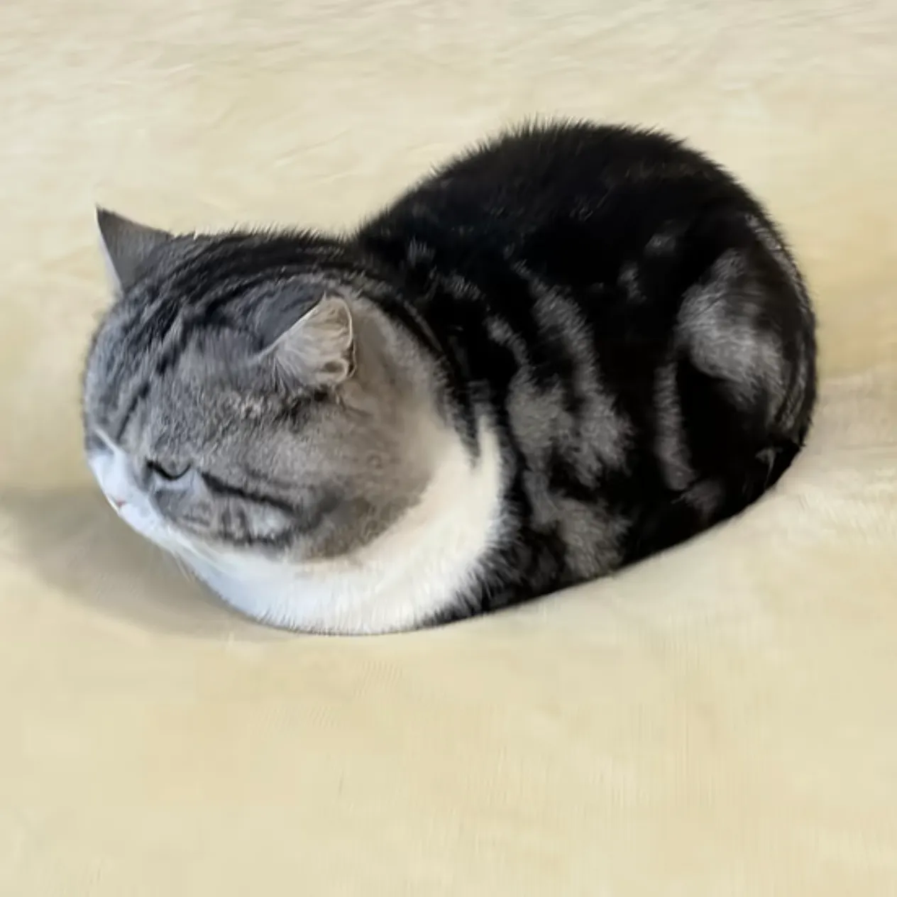 nioamu