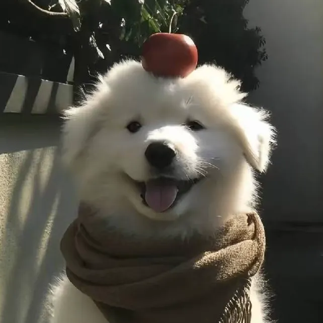 枝月