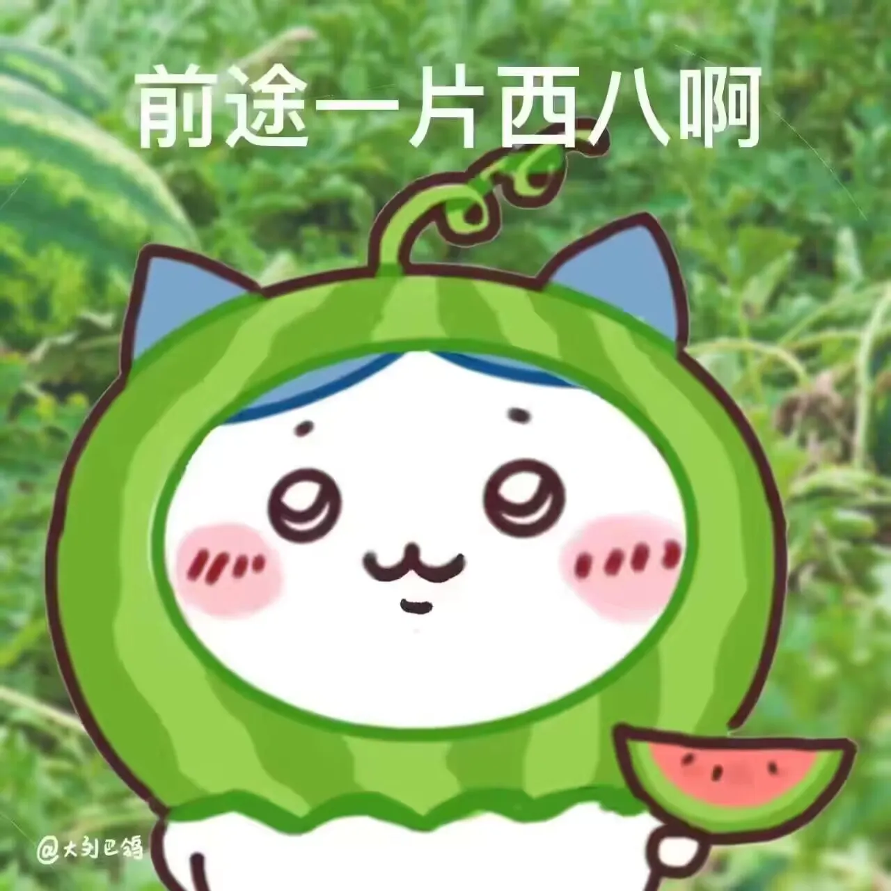 卢克