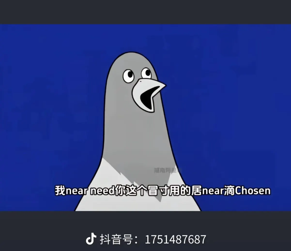 水水