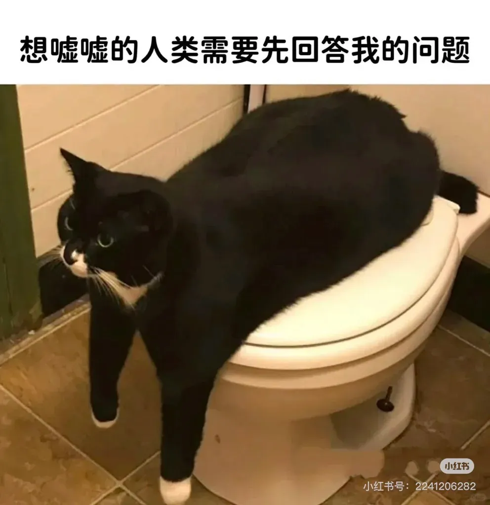 枝枝