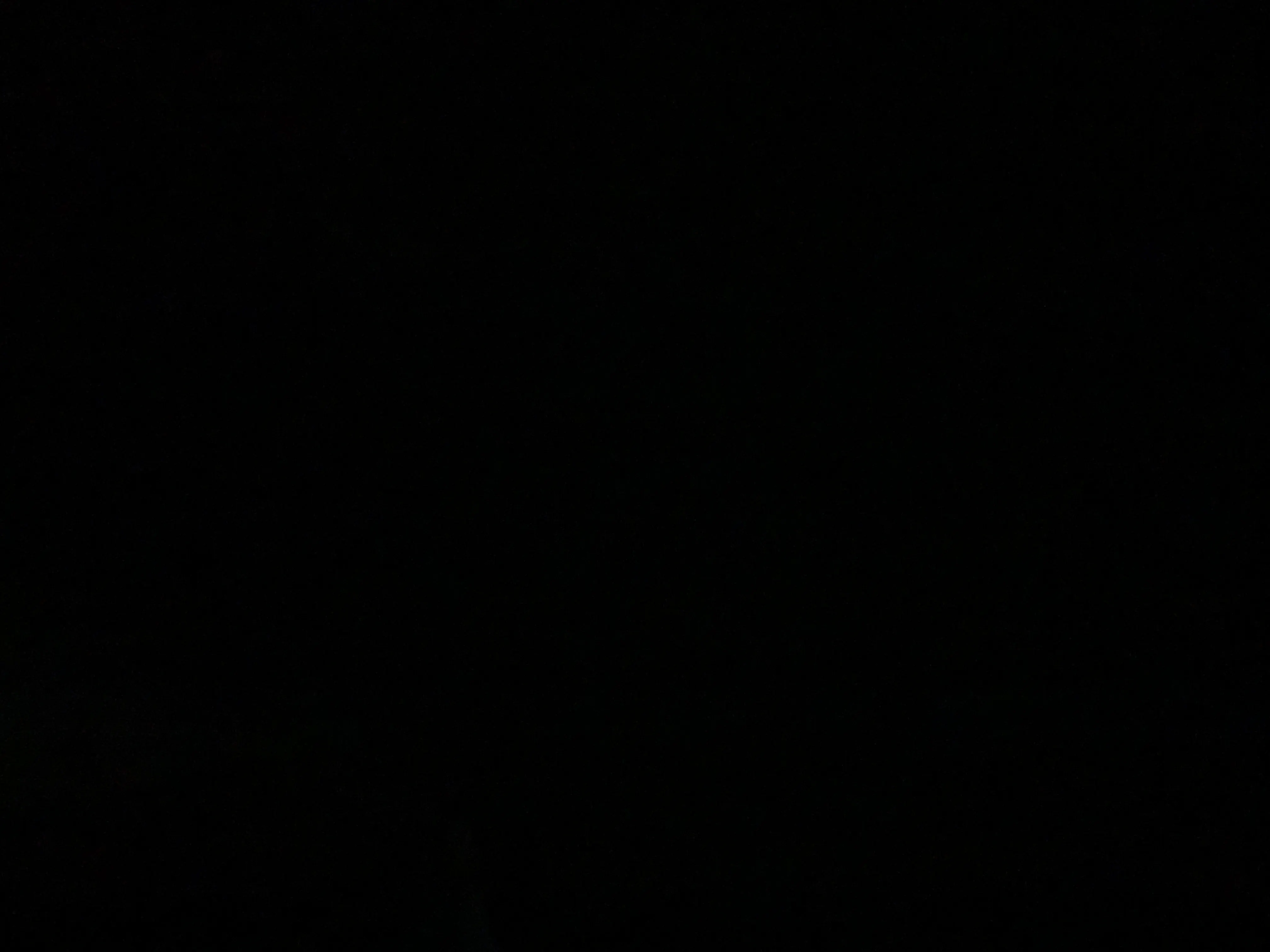 零星