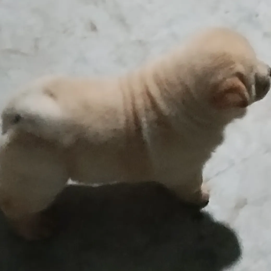 用户21344803