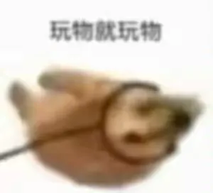 贰多龙