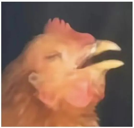 只因