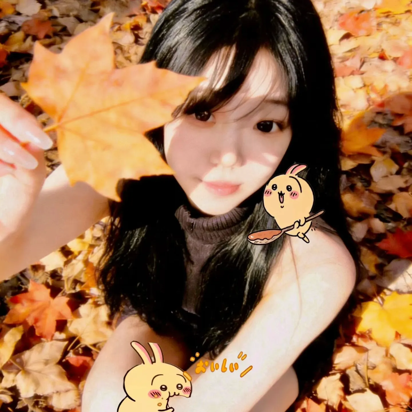花藕子