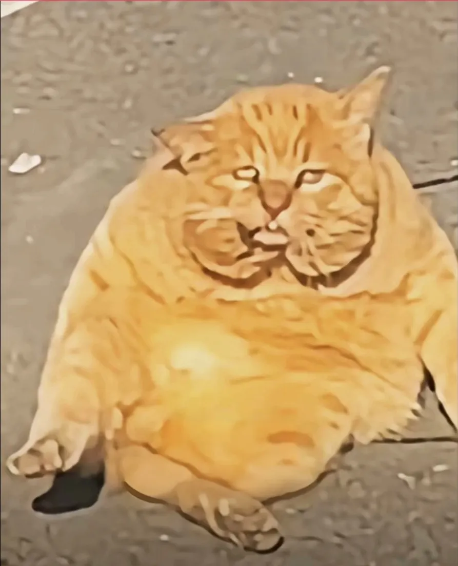 爱吃黑丝臭脚脚