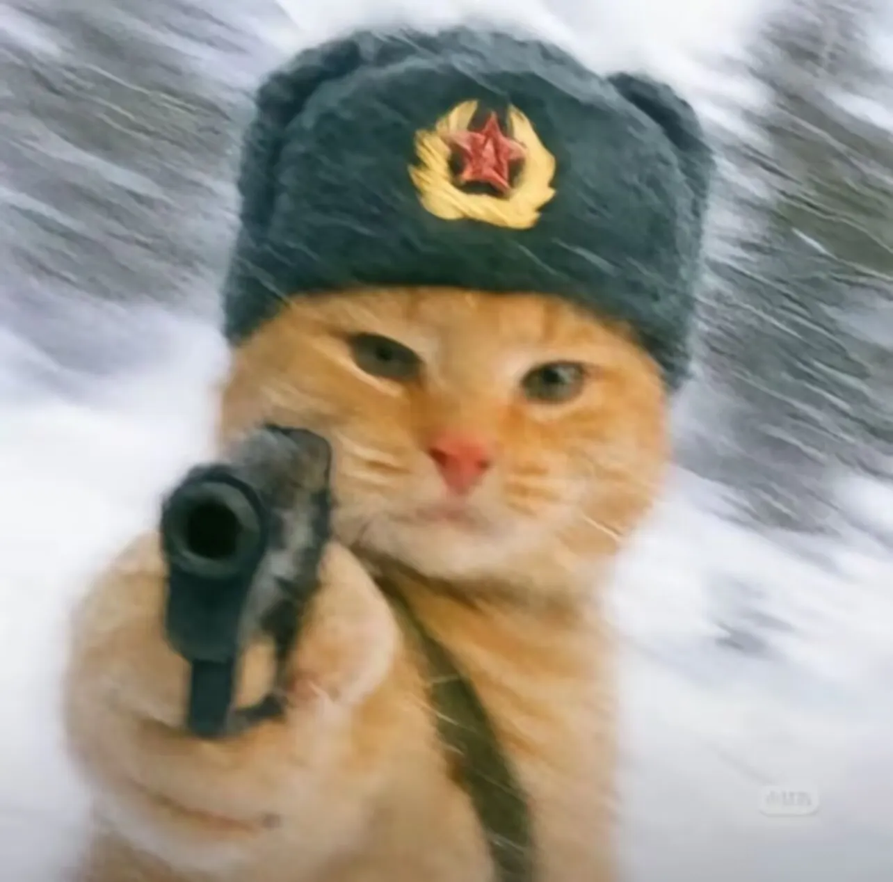 哈基米德