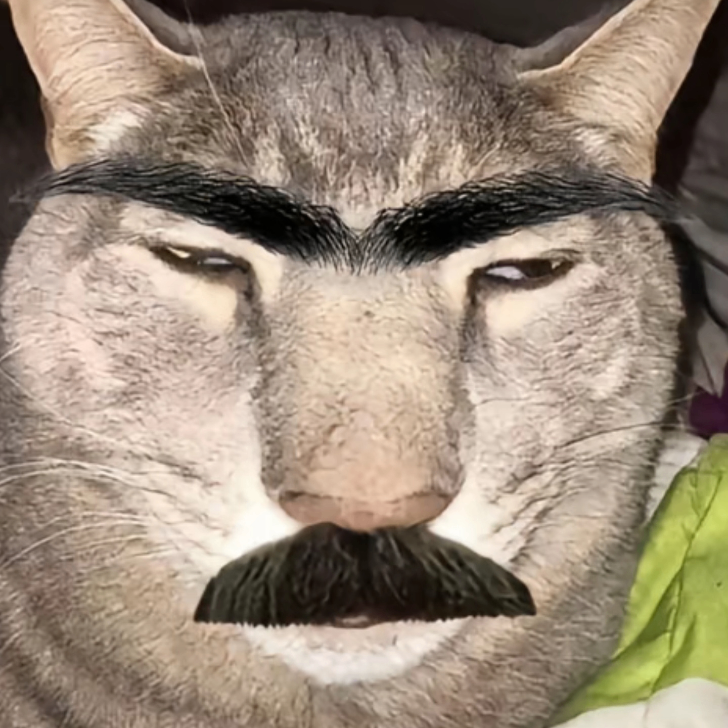咪