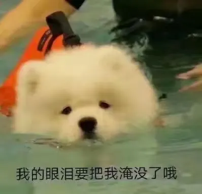 竹司