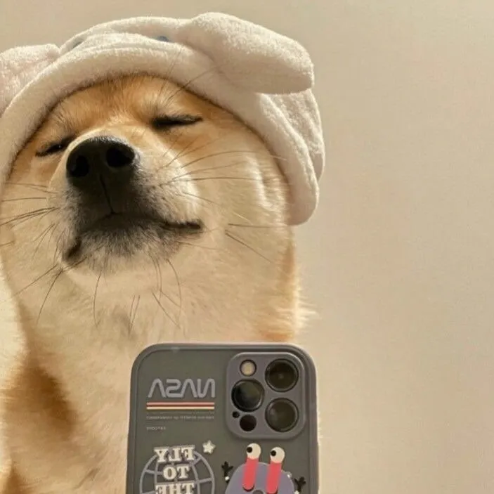 涛