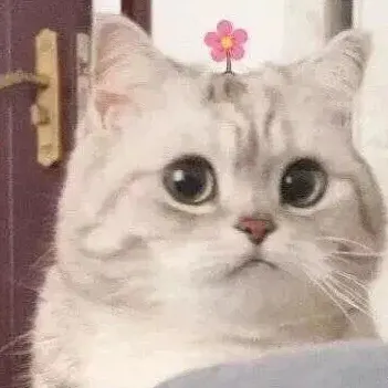 杨杰